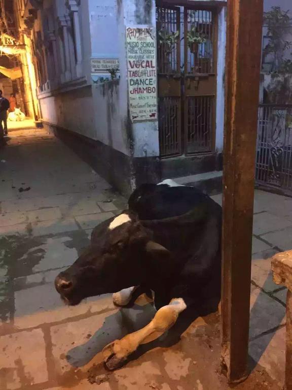 Paradise Inn Guest House Varanasi Bagian luar foto